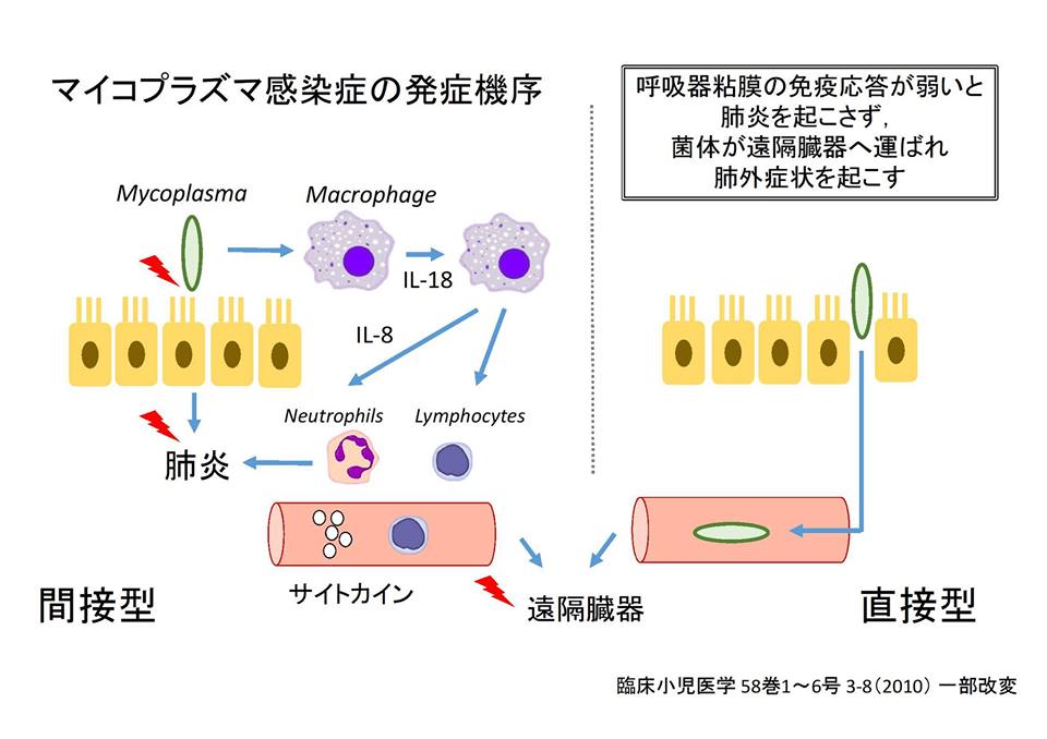 みみはら研修医 ページ 5 みみはら研修医 Real Time Line